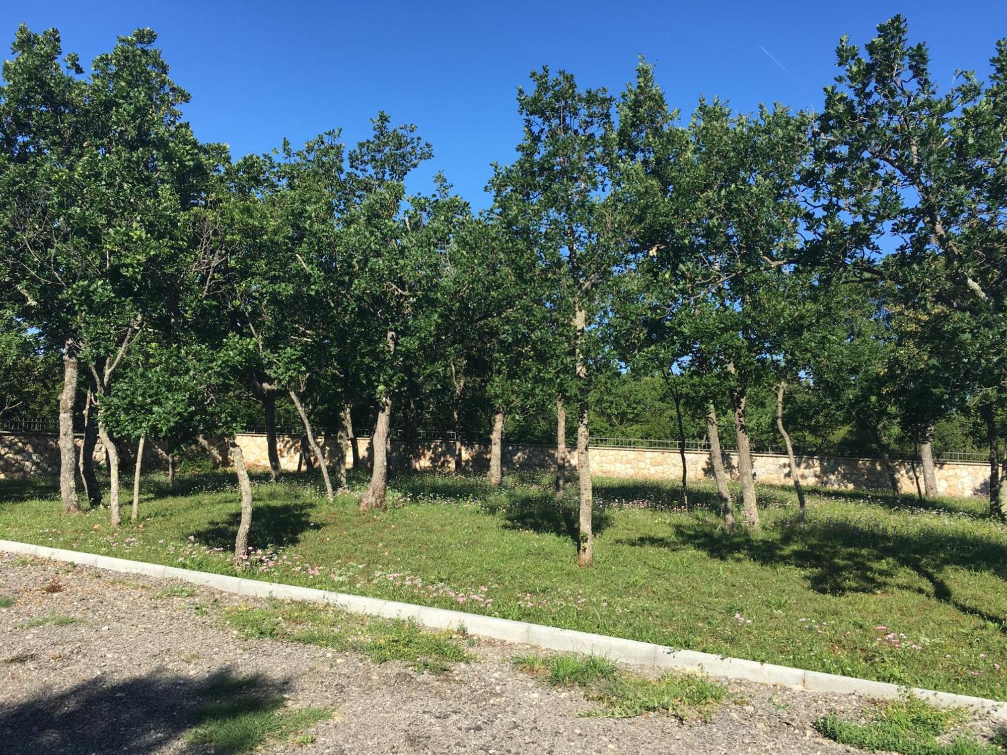 Micanovi Dvori Mobile Home Village Zrmanja Obrovac Dış mekan fotoğraf
